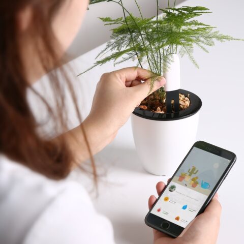L'application Flower Care de suivi des données est intuitive et pratique.