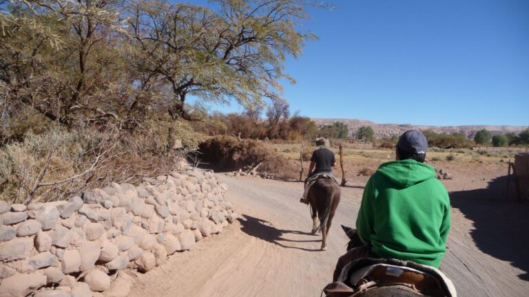 Elle descend de la montagne a cheval